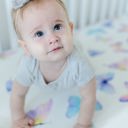  Fitted Crib Sheet - Butterfly