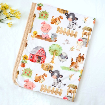 Premium Baby & Toddler Minky Blanket 30x40  - The Classics