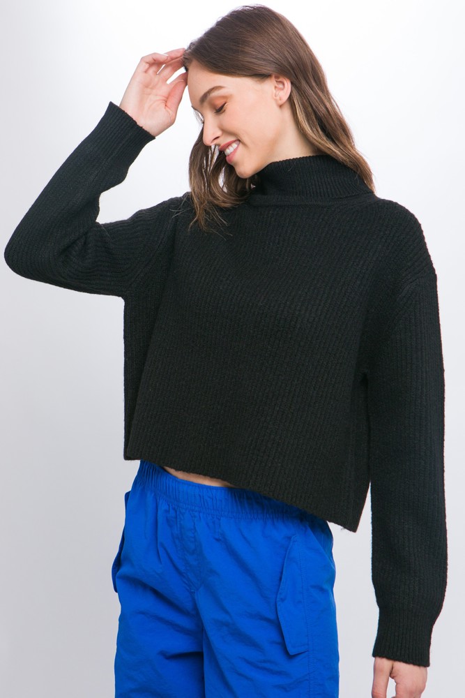 Turtle Neck Rib Knit Sweater