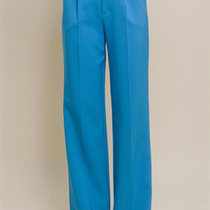 Elegant Ease Wide-Leg Slacks with Front Pleats