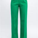 Green Small Elegant Ease Wide-Leg Slacks with Front Pleats