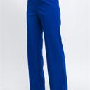 Royal Small Elegant Ease Wide-Leg Slacks with Front Pleats