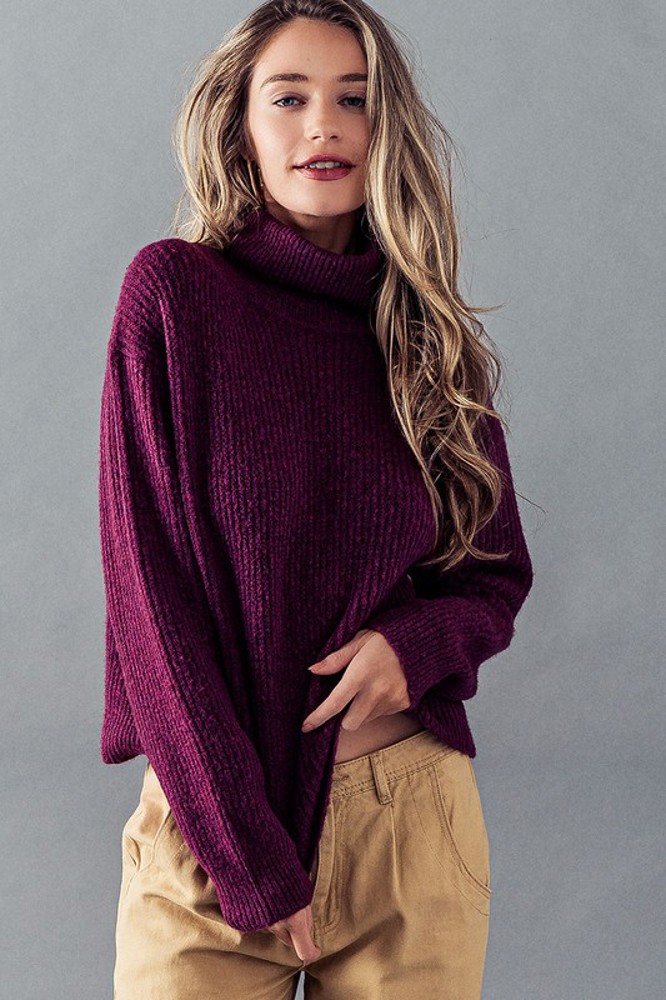 Turtle Neck Rib Knit Sweater