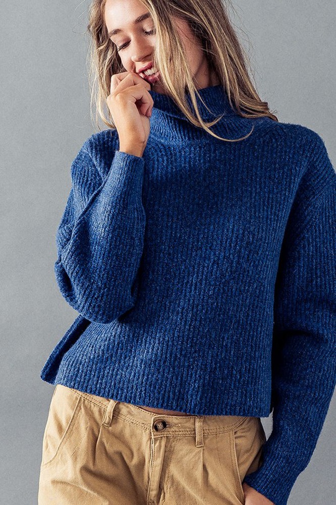 Turtle Neck Rib Knit Sweater