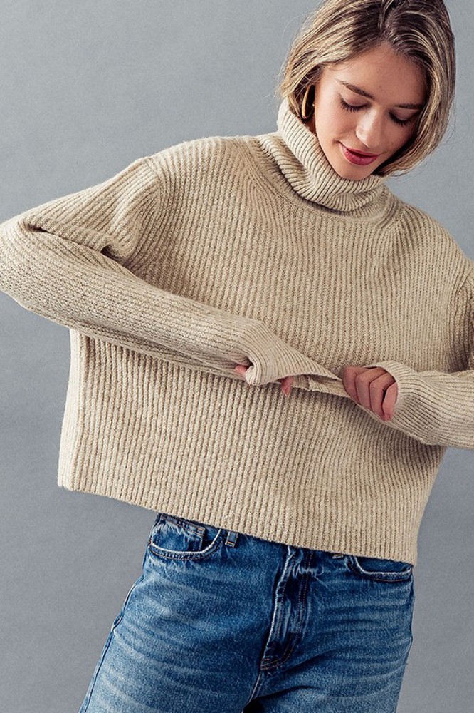 Turtle Neck Rib Knit Sweater