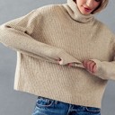  Turtle Neck Rib Knit Sweater