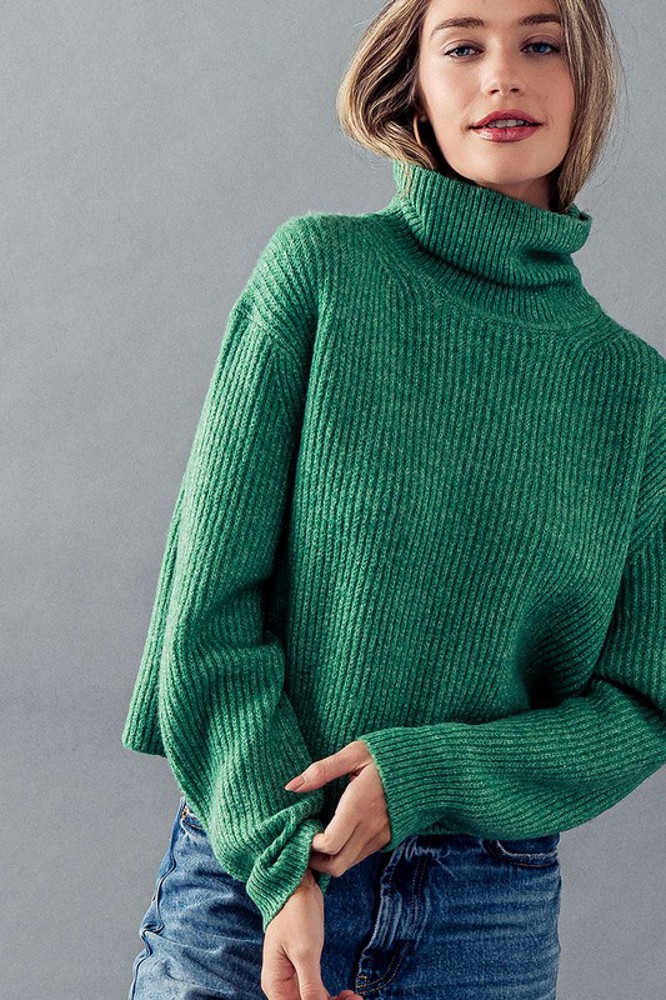 Turtle Neck Rib Knit Sweater