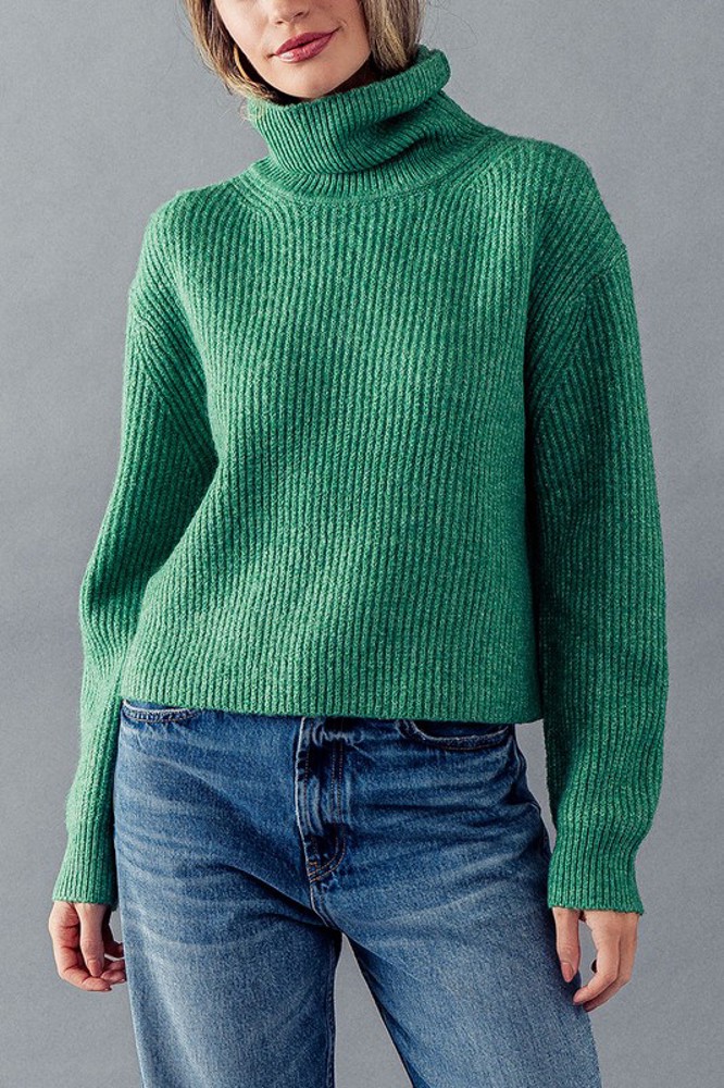 Turtle Neck Rib Knit Sweater