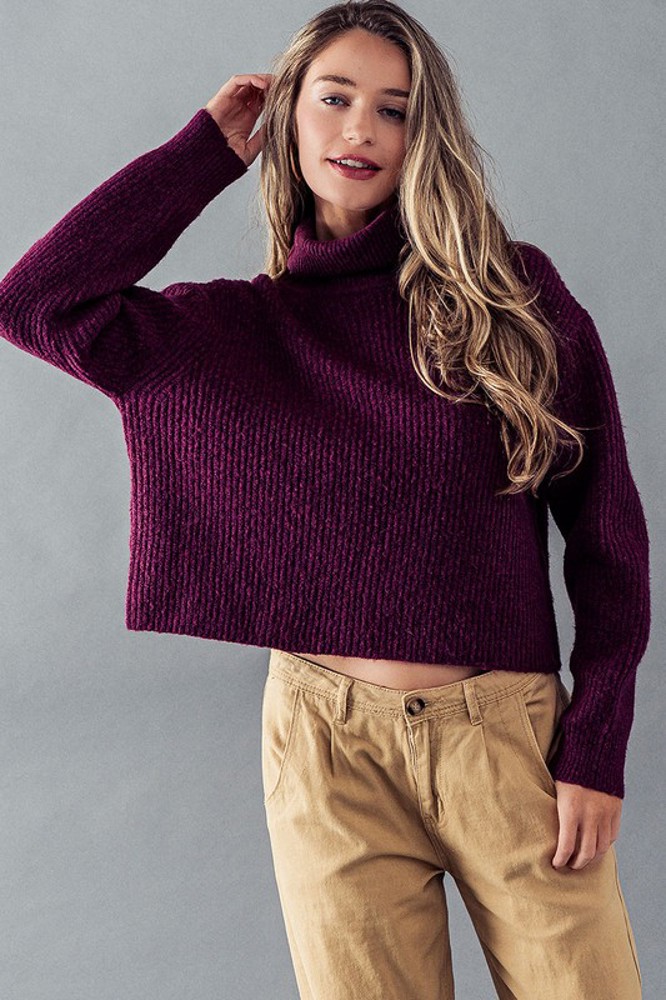 Turtle Neck Rib Knit Sweater