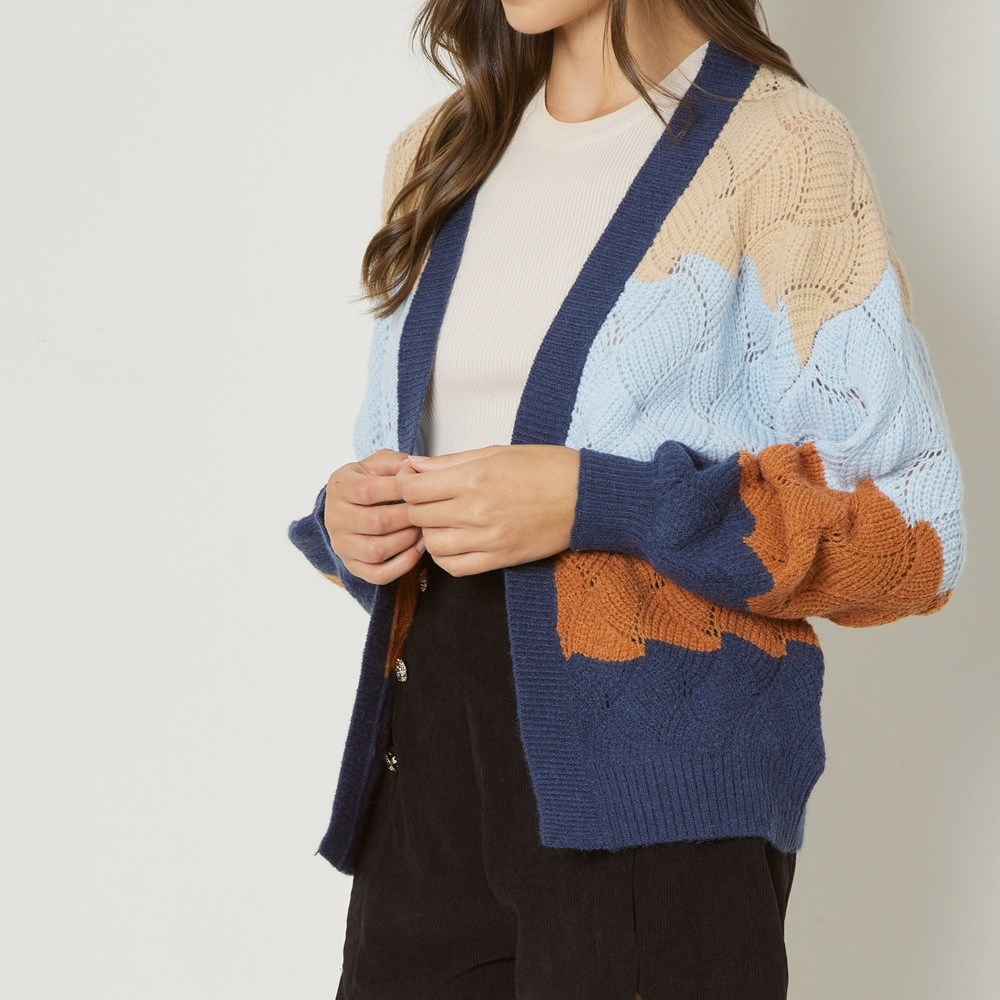 Colorblock Cable Knit Cardigan