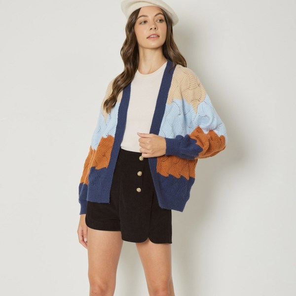 Colorblock Cable Knit Cardigan