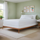  Fitted Mattress Protector with Comfortable Padding