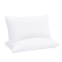  2-Pack Plush Bed Pillows Set