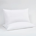 Queen 2-Pack Plush Bed Pillows Set