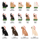  Our Dog’s Night Before Christmas Personalized Book