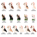  Our Dog’s Night Before Christmas Personalized Book