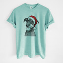 XL Chalky Mint - Doberman Pinscher Natural Santa Dog Breed Comfort Colors T-shirts - 40+ Dog Breeds