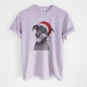 Small Orchid - Doberman Pinscher Natural Santa Dog Breed Comfort Colors T-shirts - 40+ Dog Breeds