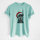 XXL Chalky Mint - Doberman Pinscher Cropped Santa Dog Breed Comfort Colors T-shirts - 40+ Dog Breeds