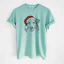 Small Chalky Mint - Australian Shepherd Santa Dog Breed Comfort Colors T-shirts - 40+ Dog Breeds
