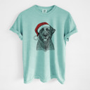 Large Chalky Mint - Black Lab Santa Dog Breed Comfort Colors T-shirts - 40+ Dog Breeds