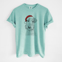 Small Chalky Mint - Airedale Terrier Santa Dog Breed Comfort Colors T-shirts - 40+ Dog Breeds