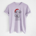 XXL Orchid - Airedale Terrier Santa Dog Breed Comfort Colors T-shirts - 40+ Dog Breeds