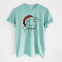Medium Chalky Mint - Pitbull Santa Dog Breed Comfort Colors T-shirts - 40+ Dog Breeds