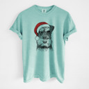 Small Chalky Mint - Mini Schnauzer Santa Dog Breed Comfort Colors T-shirts - 40+ Dog Breeds