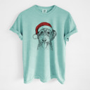 Medium Chalky Mint - Aussiedoodle Santa Dog Breed Comfort Colors T-shirts - 40+ Dog Breeds