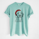 Small Chalky Mint - Golden Retriever Santa Dog Breed Comfort Colors T-shirts - 40+ Dog Breeds