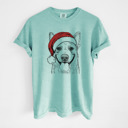 Large Chalky Mint - Australian Cattle Dog Santa Dog Breed Comfort Colors T-shirts - 40+ Dog Breeds