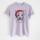 Large Orchid - Australian Cattle Dog Santa Dog Breed Comfort Colors T-shirts - 40+ Dog Breeds