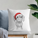 Dachshund Santa Hat Dog Breed Throw Pillow Cover - 40+ Dog Breeds