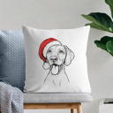 Vizsla Santa Hat Dog Breed Throw Pillow Cover - 40+ Dog Breeds
