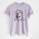 XXL Orchid - Labrador Retriever 2 Christmas Lights Dog Breed Comfort Colors T-shirts - 40+ Dog Breeds