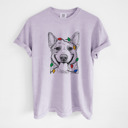 XL Orchid - Australian Cattle Dog Christmas Lights Dog Breed Comfort Colors T-shirts - 40+ Dog Breeds