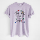 Medium Orchid - Labrador Retriever 1 Christmas Lights Dog Breed Comfort Colors T-shirts - 40+ Dog Breeds