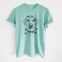 Small Chalky Mint - Yellow Lab Christmas Lights Dog Breed Comfort Colors T-shirts - 40+ Dog Breeds