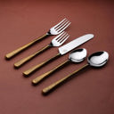  Medicki Flatware, 5-Pc. Place Setting
