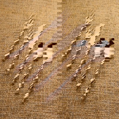 Tedpole Flatware, 5-Pc. Place Setting