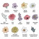  Birth Flower Bookmark Up to 8 Flowers | Laminated Page Marker