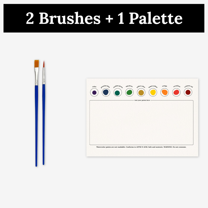3 Pk All In One Watercolor Paint Kit | 8X10" Floral Outline 45 Options