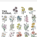  Floral Alphabet Art Print | Unframed Illustrated Wall Decor