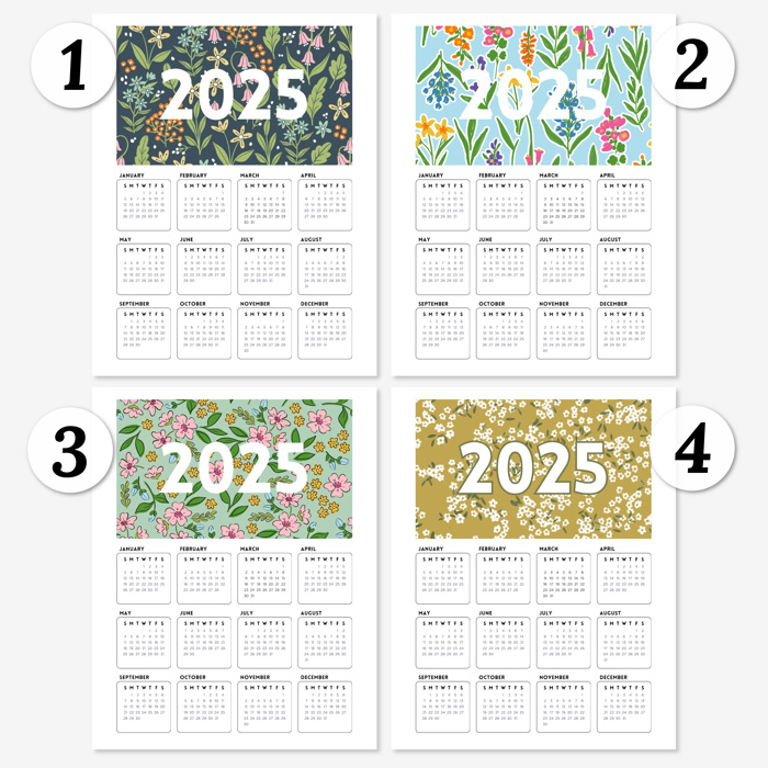 3Pk 2025 At A Glance Calendar Prints | 12 Options