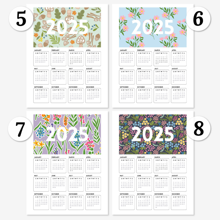 3Pk 2025 At A Glance Calendar Prints | 12 Options