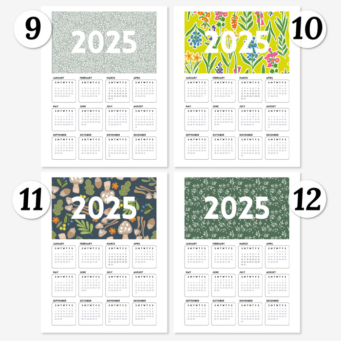 3Pk 2025 At A Glance Calendar Prints | 12 Options