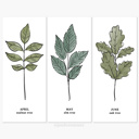  Couples Birth Tree Art Print | Unframed Wedding Anniversary Gift