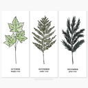  Couples Birth Tree Art Print | Unframed Wedding Anniversary Gift