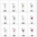  State Flower Stamp Prints | Hand Illustrated Watercolor Floral Art